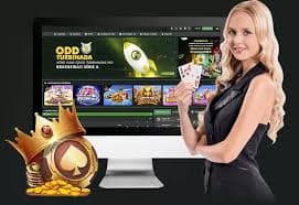 Giao diện tiếng Việt thân thiện trên điện thoại của nền tảng vh79